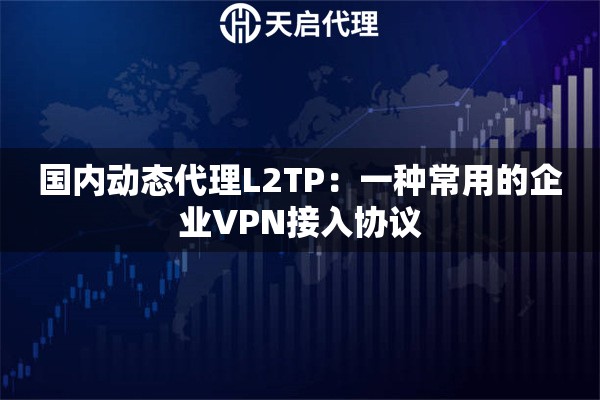 国内动态代理L2TP：一种常用的企业VPN接入协议