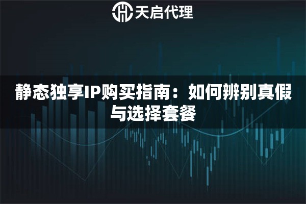 静态独享IP购买指南：如何辨别真假与选择套餐