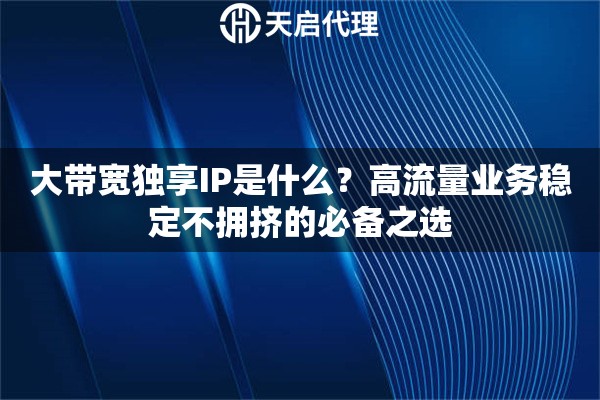 大带宽独享IP是什么？高流量业务稳定不拥挤的必备之选