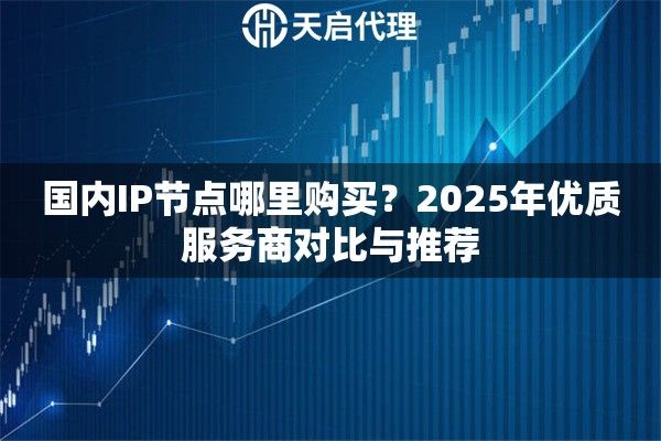 国内IP节点哪里购买?2025年优质服务商对比与推荐 国内IP节点哪里购买?2025年优质服务商对比与推荐