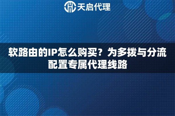 软路由的IP怎么购买？为多拨与分流配置专属代理线路
