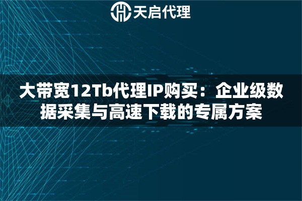 大带宽12Tb代理IP购买：企业级数据采集与高速下载的专属方案