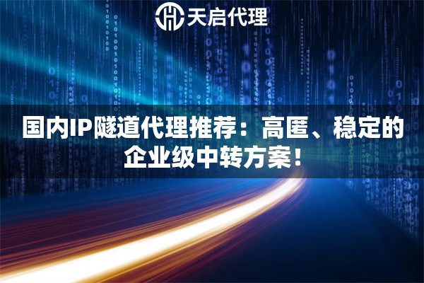 国内IP隧道代理推荐：高匿、稳定的企业级中转方案！
