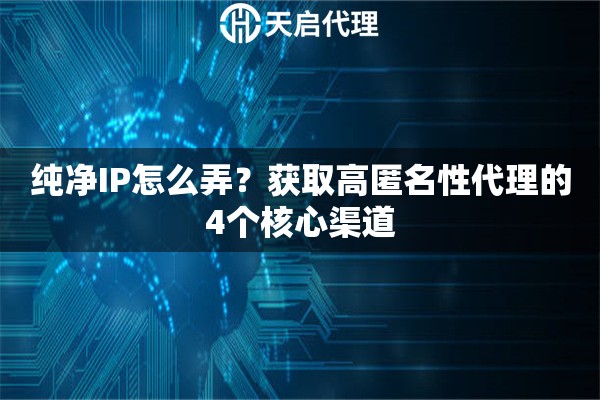 纯净IP怎么弄？获取高匿名性代理的4个核心渠道