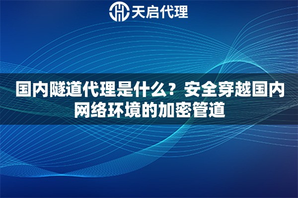 国内隧道代理是什么？安全穿越国内网络环境的加密管道