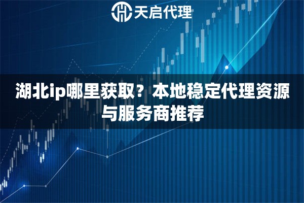 湖北ip哪里获取？本地稳定代理资源与服务商推荐