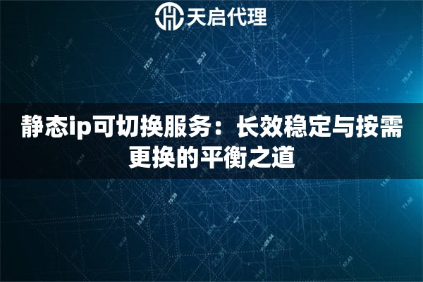 静态ip可切换服务：长效稳定与按需更换的平衡之道