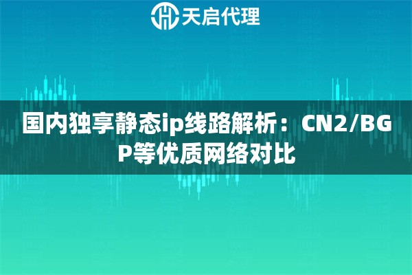 国内独享静态ip线路解析：CN2/BGP等优质网络对比