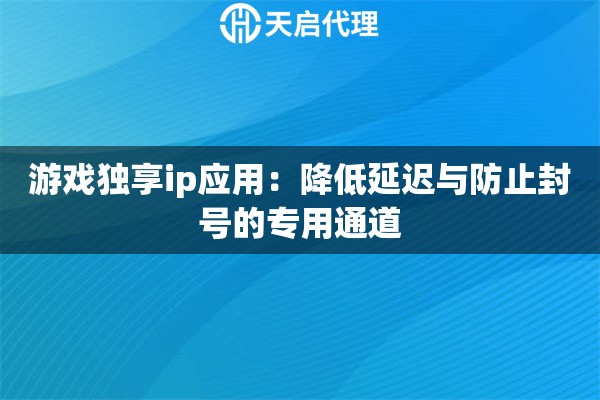 游戏独享ip应用：降低延迟与防止封号的专用通道