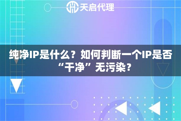 纯净IP是什么？如何判断一个IP是否“干净”无污染？