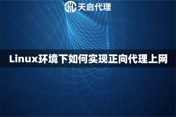 Linux环境下如何实现正向代理上网