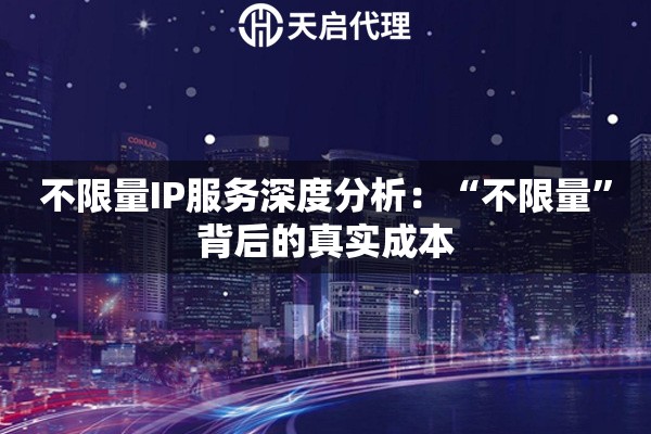 不限量IP服务深度分析：“不限量”背后的真实成本