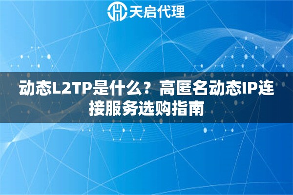 动态L2TP是什么？高匿名动态IP连接服务选购指南