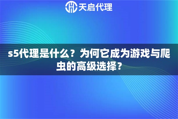 s5代理是什么？为何它成为游戏与爬虫的高级选择？
