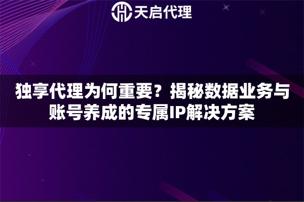 独享代理为何重要？揭秘数据业务与账号养成的专属IP解决方案