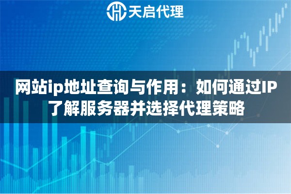 网站ip地址查询与作用：如何通过IP了解服务器并选择代理策略