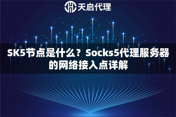 SK5节点是什么？Socks5代理服务器的网络接入点详解