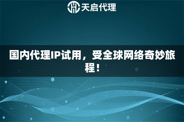 国内代理IP试用，受全球网络奇妙旅程！