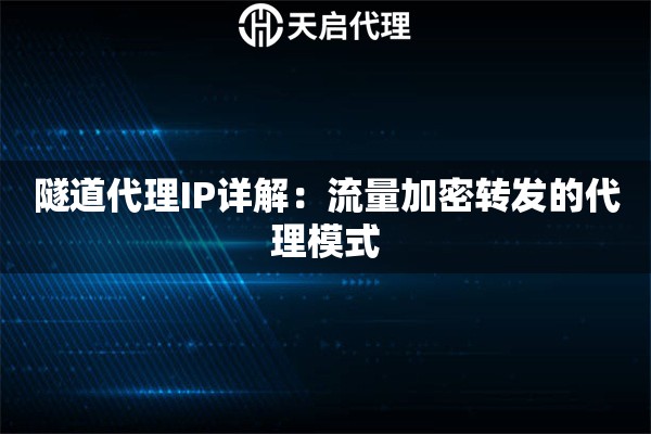 隧道代理IP详解：流量加密转发的代理模式