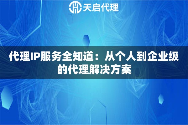 代理IP服务全知道：从个人到企业级的代理解决方案