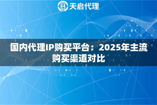 国内代理IP购买平台：2025年主流购买渠道对比