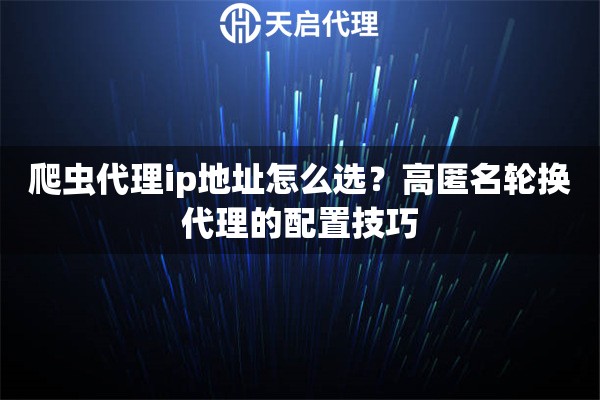 爬虫代理ip地址怎么选？高匿名轮换代理的配置技巧