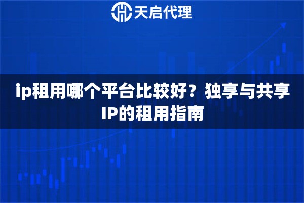 ip租用哪个平台比较好？独享与共享IP的租用指南