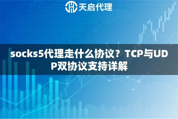 socks5代理走什么协议？TCP与UDP双协议支持详解