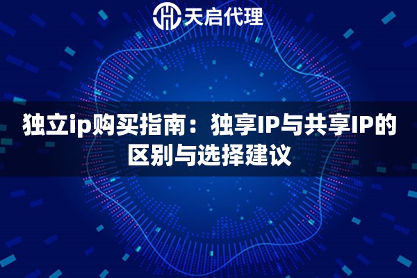独立ip购买指南：独享IP与共享IP的区别与选择建议