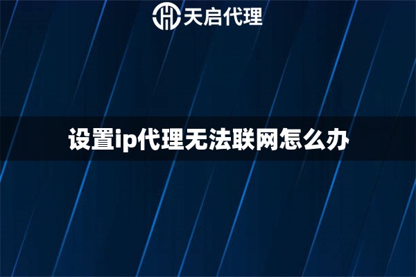 设置ip代理无法联网怎么办