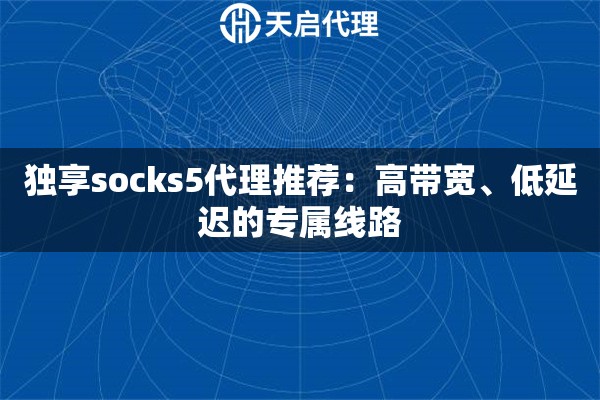 独享socks5代理推荐：高带宽、低延迟的专属线路