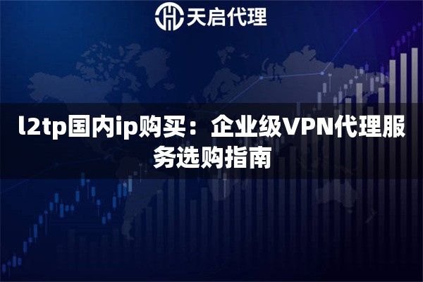 l2tp国内ip购买：企业级VPN代理服务选购指南