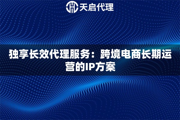 独享长效代理服务：跨境电商长期运营的IP方案