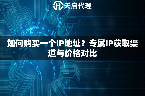 如何购买一个IP地址?专属IP获取渠道与价格对比 如何购买一个IP地址?专属IP获取渠道与价格对比