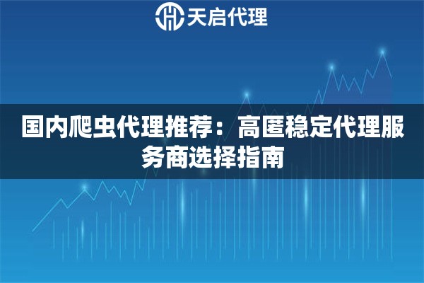 国内爬虫代理推荐：高匿稳定代理服务商选择指南