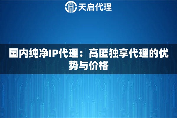 国内纯净IP代理：高匿独享代理的优势与价格