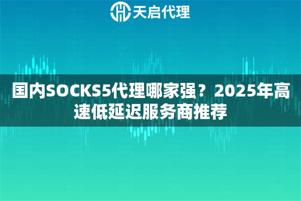 国内SOCKS5代理哪家强？2025年高速低延迟服务商推荐