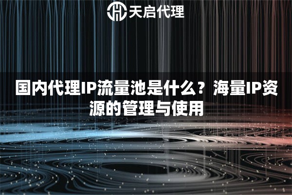 国内代理IP流量池是什么？海量IP资源的管理与使用