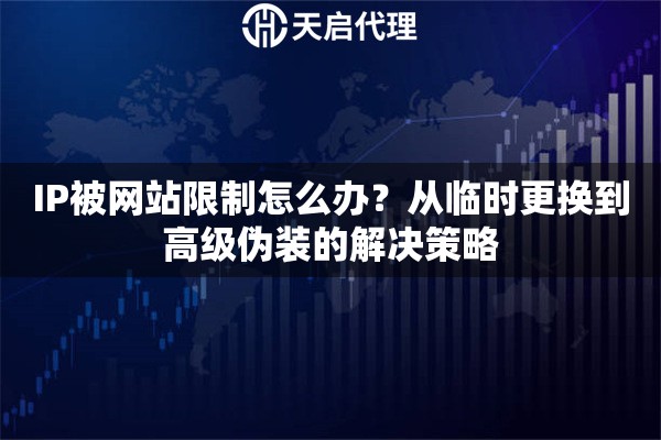 IP被网站限制怎么办?从临时更换到高级伪装的解决策略 IP被网站限制怎么办?从临时更换到高级伪装的解决策略