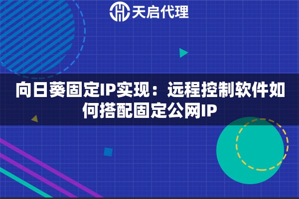 向日葵固定IP实现：远程控制软件如何搭配固定公网IP