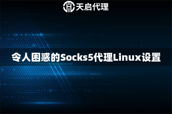 令人困惑的Socks5代理Linux设置