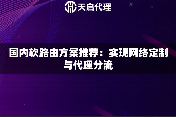 国内软路由方案推荐：实现网络定制与代理分流