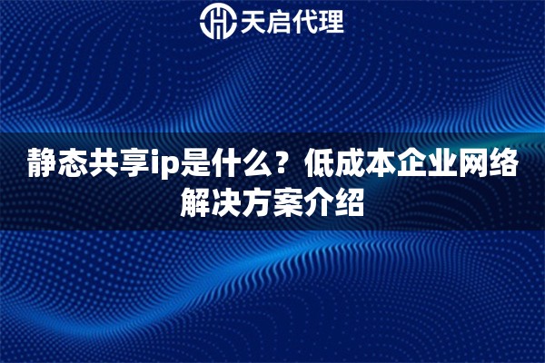 静态共享ip是什么？低成本企业网络解决方案介绍