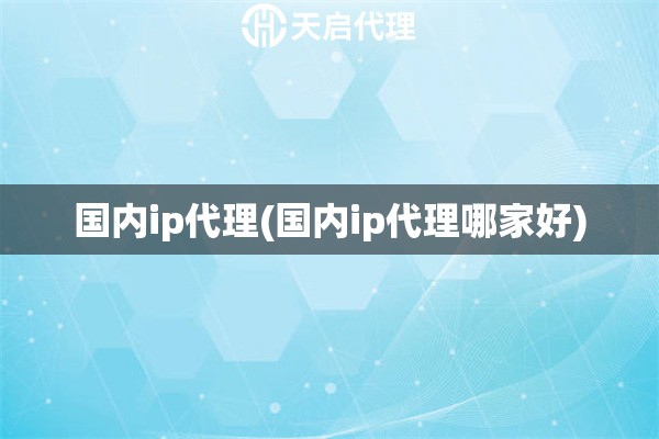 国内ip代理(国内ip代理哪家好)