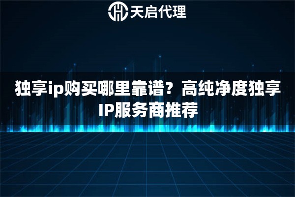 独享ip购买哪里靠谱？高纯净度独享IP服务商推荐