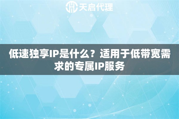 低速独享IP是什么？适用于低带宽需求的专属IP服务