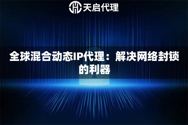 全球混合动态IP代理：解决网络封锁的利器