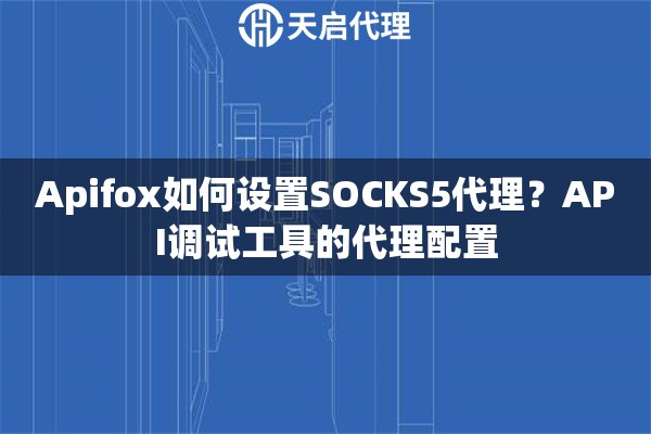 Apifox如何设置SOCKS5代理？API调试工具的代理配置