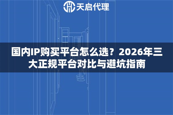 国内IP购买平台怎么选？2026年三大正规平台对比与避坑指南
