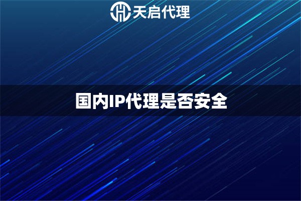国内IP代理是否安全
